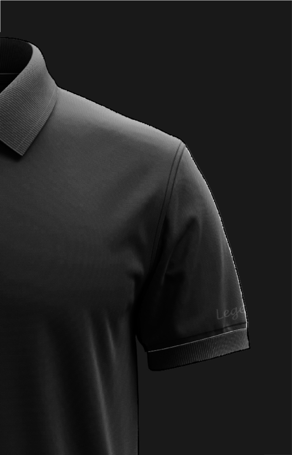 Polo T shirt - Lincoln Brooks